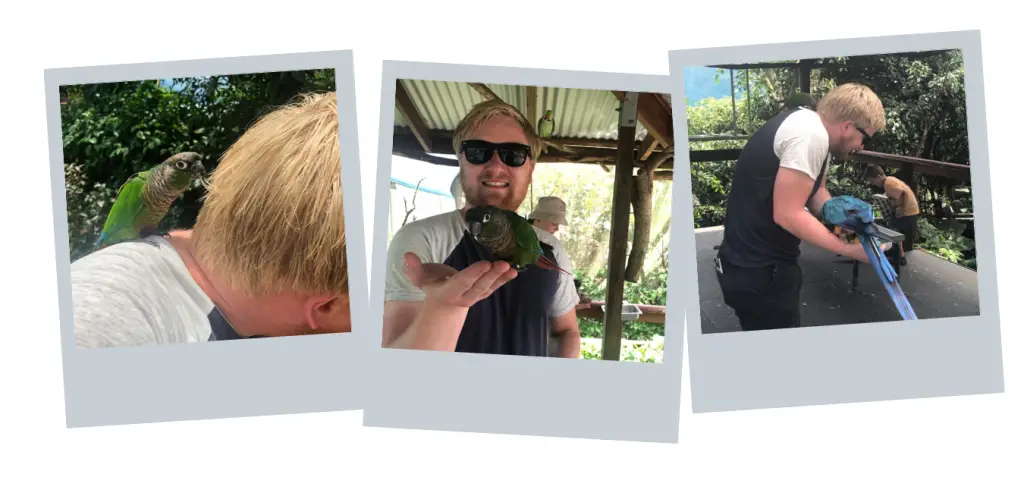 Scott at Birdworld, Kuranda