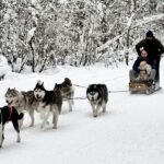 Family Bucket Lists - Husky Sledding