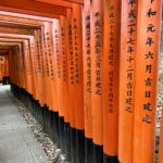 2 Weeks in Japan with Kids in April: Your Ultimate Family Guide a shot of the world